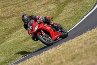 cadwell-no-limits-trackday;cadwell-park;cadwell-park-photographs;cadwell-trackday-photographs;enduro-digital-images;event-digital-images;eventdigitalimages;no-limits-trackdays;peter-wileman-photography;racing-digital-images;trackday-digital-images;trackday-photos
